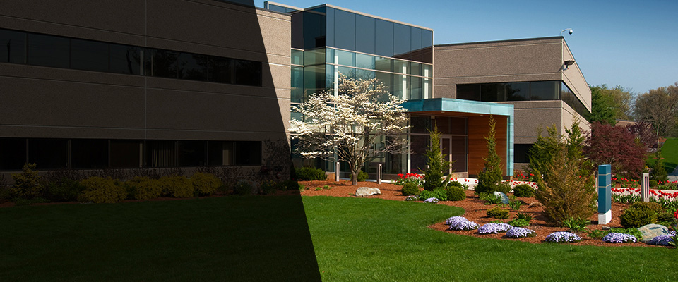 Los Gatos Landscapers