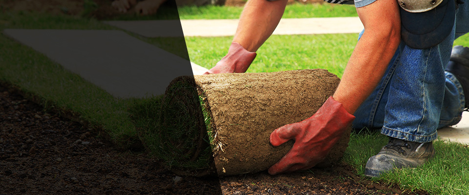 Los Gatos Landscapers